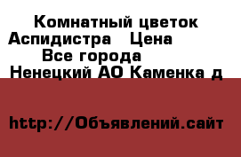 Комнатный цветок Аспидистра › Цена ­ 150 - Все города  »    . Ненецкий АО,Каменка д.